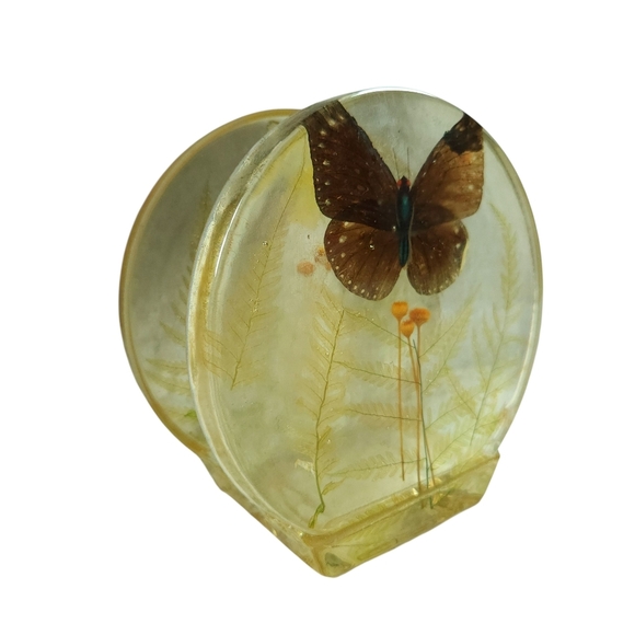Vintage 70s Lucite Butterfly & Dried Plants Napkin Mail Paper Holder - Picture 1 of 8